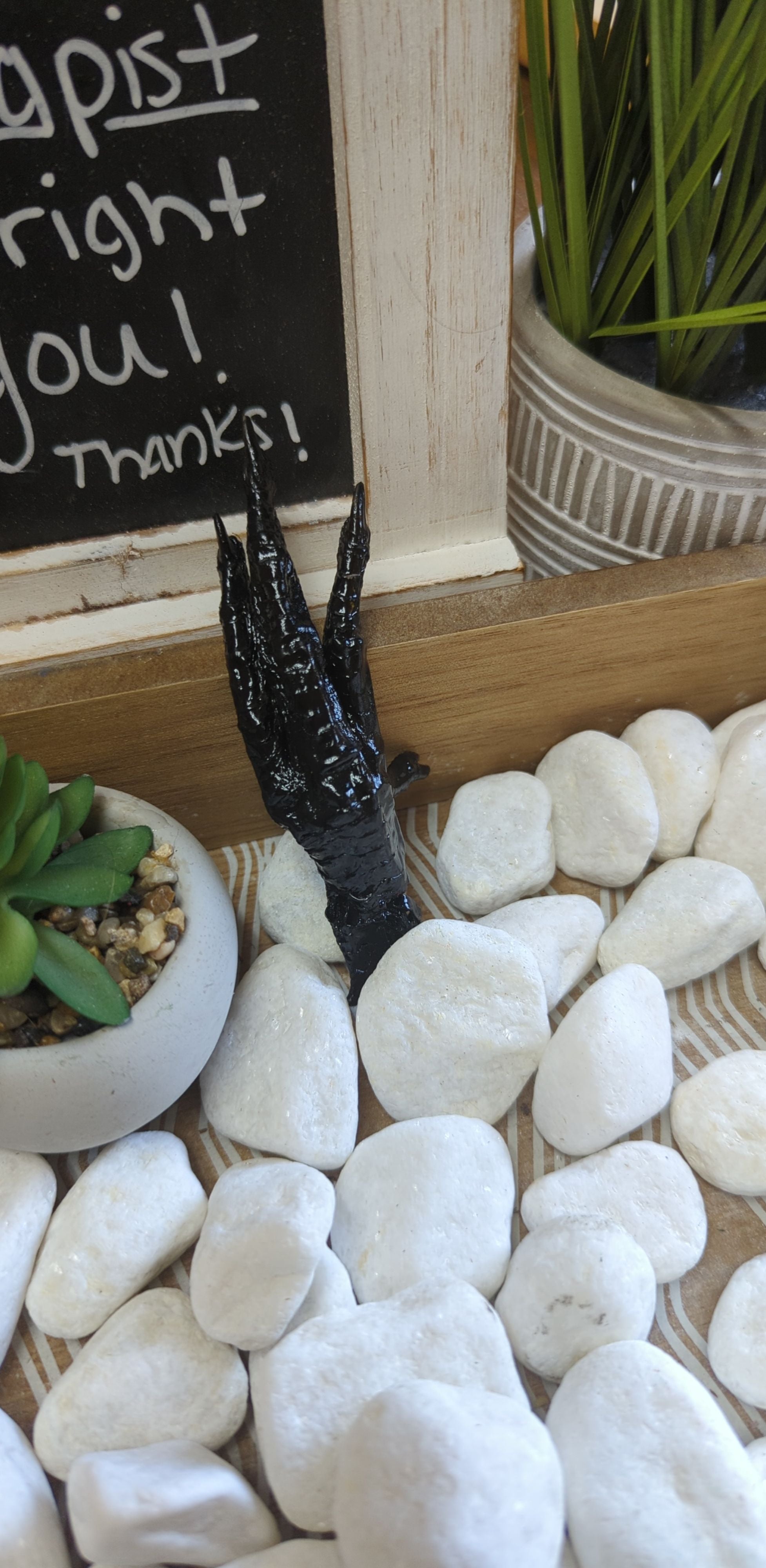 Charmed Protection Chicken Foot for spiritual protection and balance.