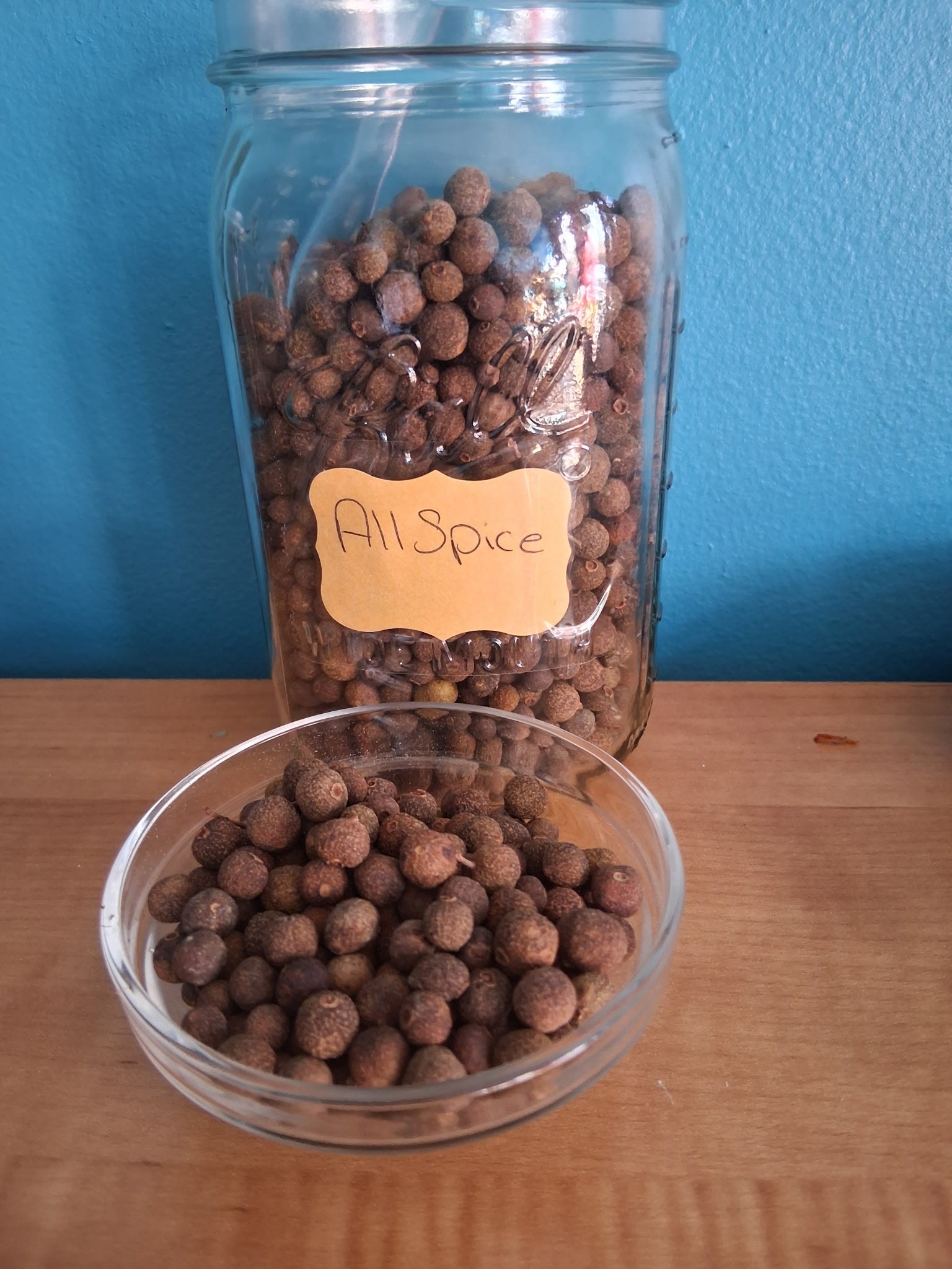 All Spice Herb