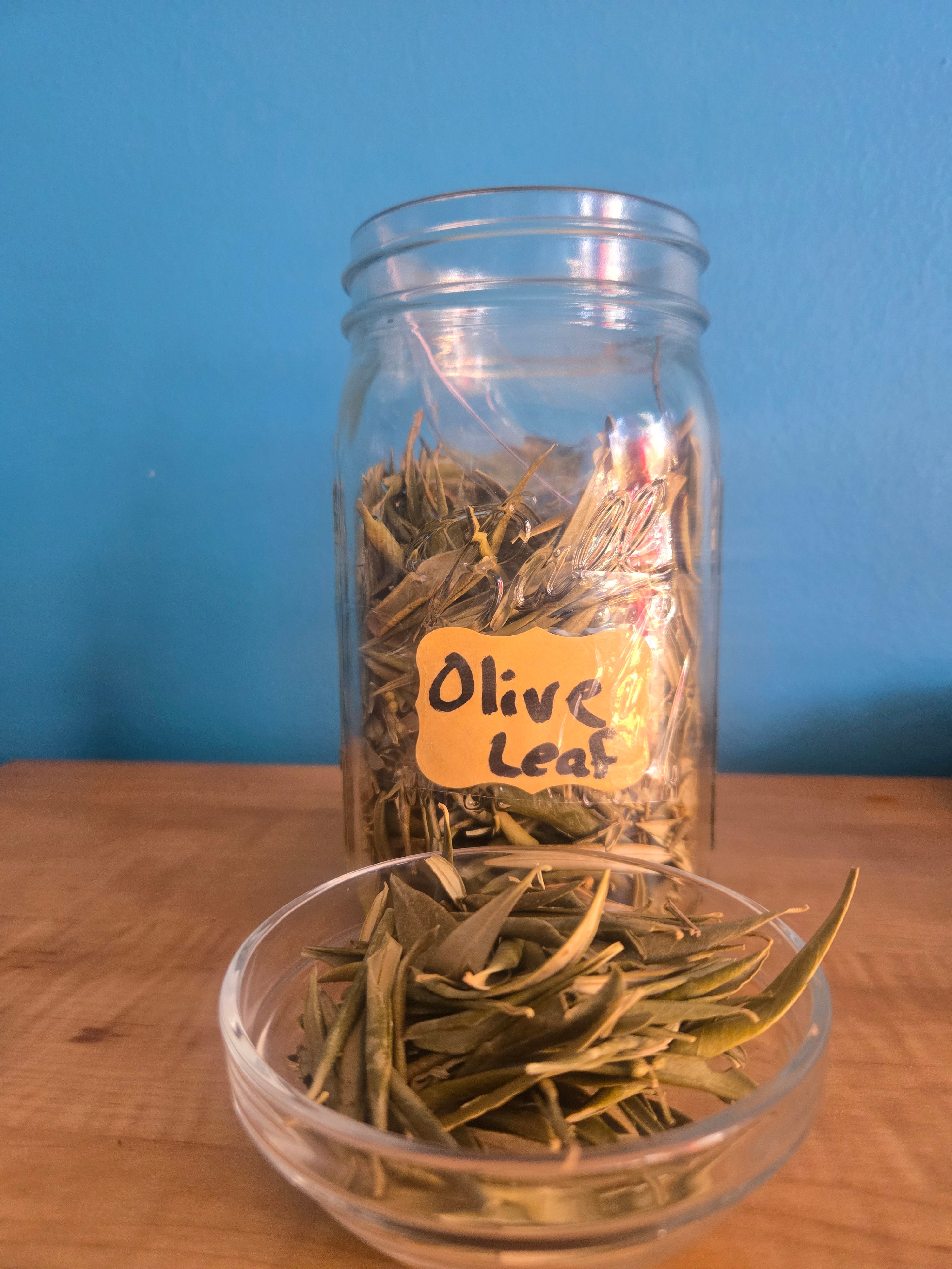 Olive Herb Leaf