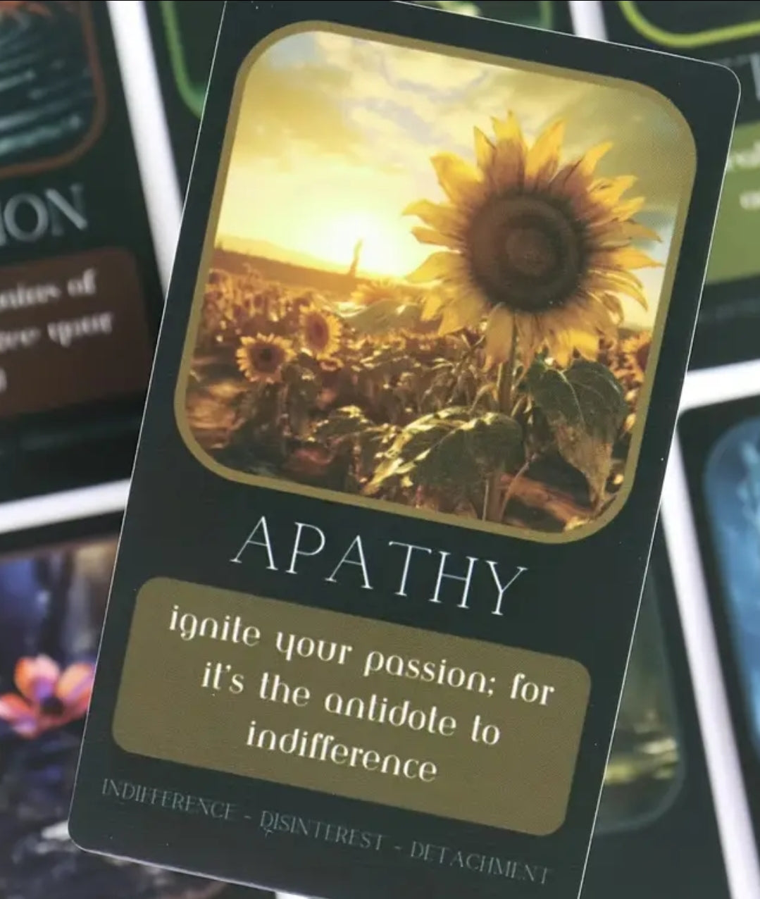 Beautiful artistic deck offering wisdom, guidance, and inspiration for your journey