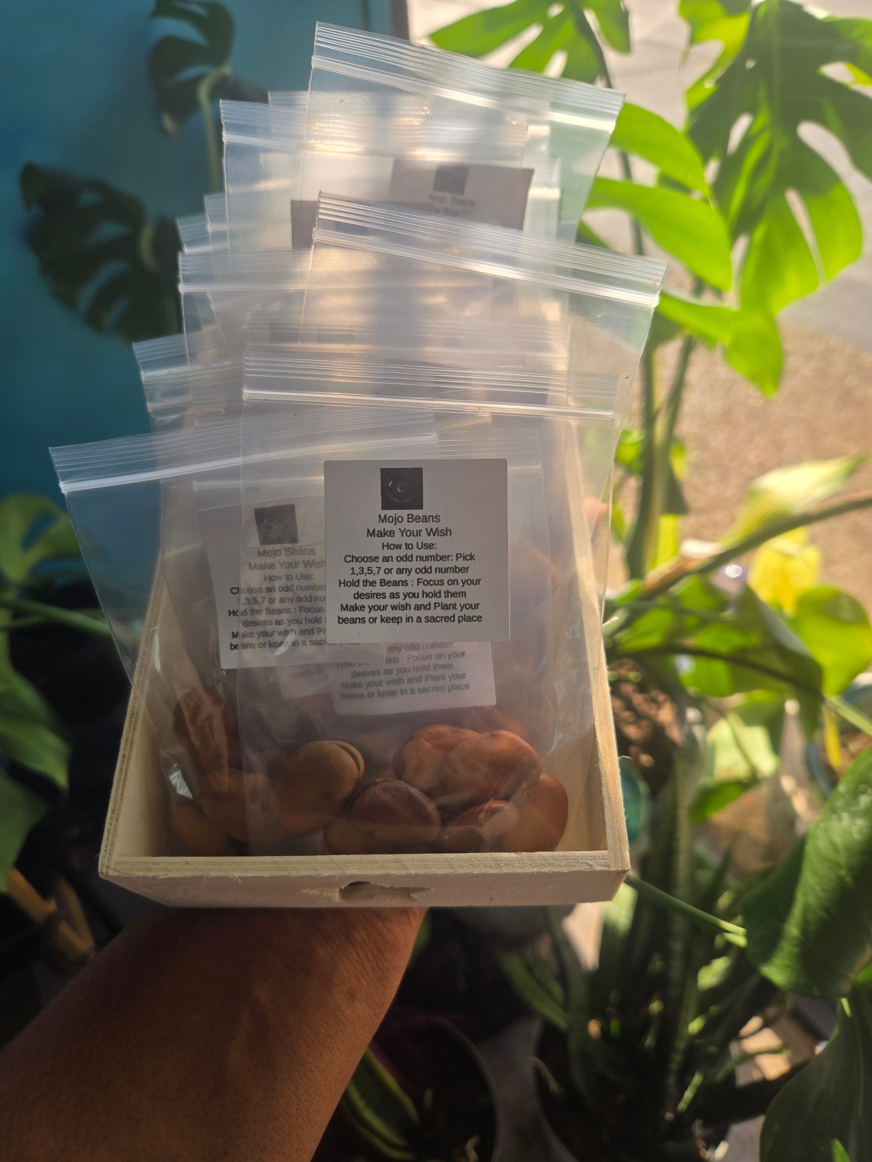 "Fortune's Whisper: Mojo Wish Beans for Abundance and Manifestation"