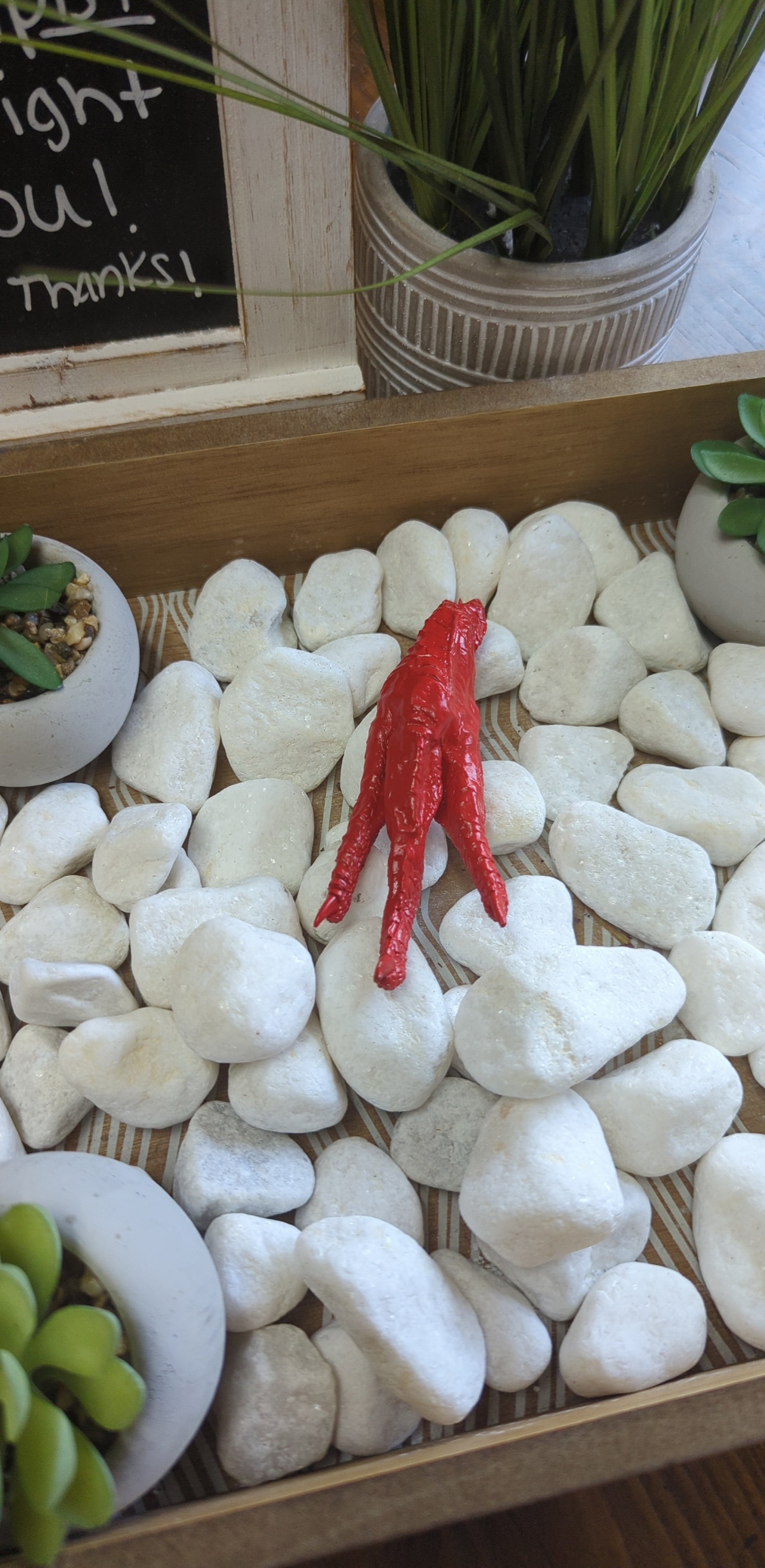 Authority Charm Chicken Foot for establishing confidence and setting boundaries.