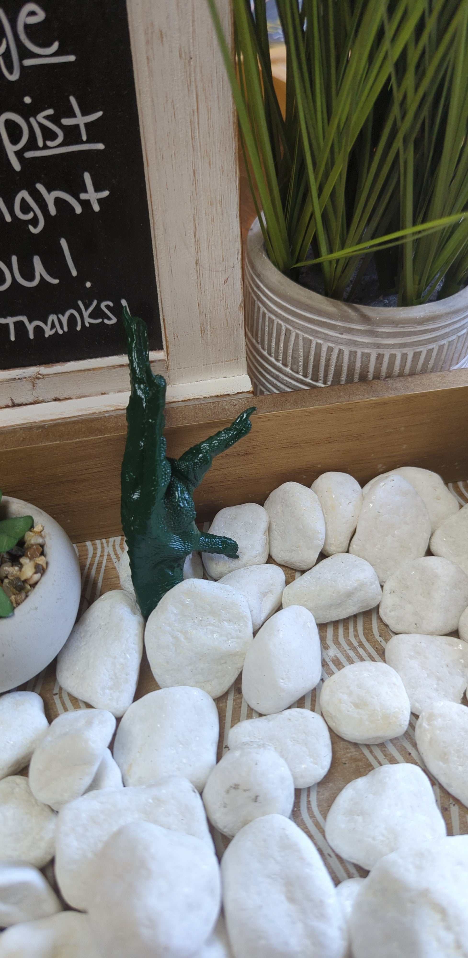 Money Charm Chicken Foot for establishing manifesting abundance