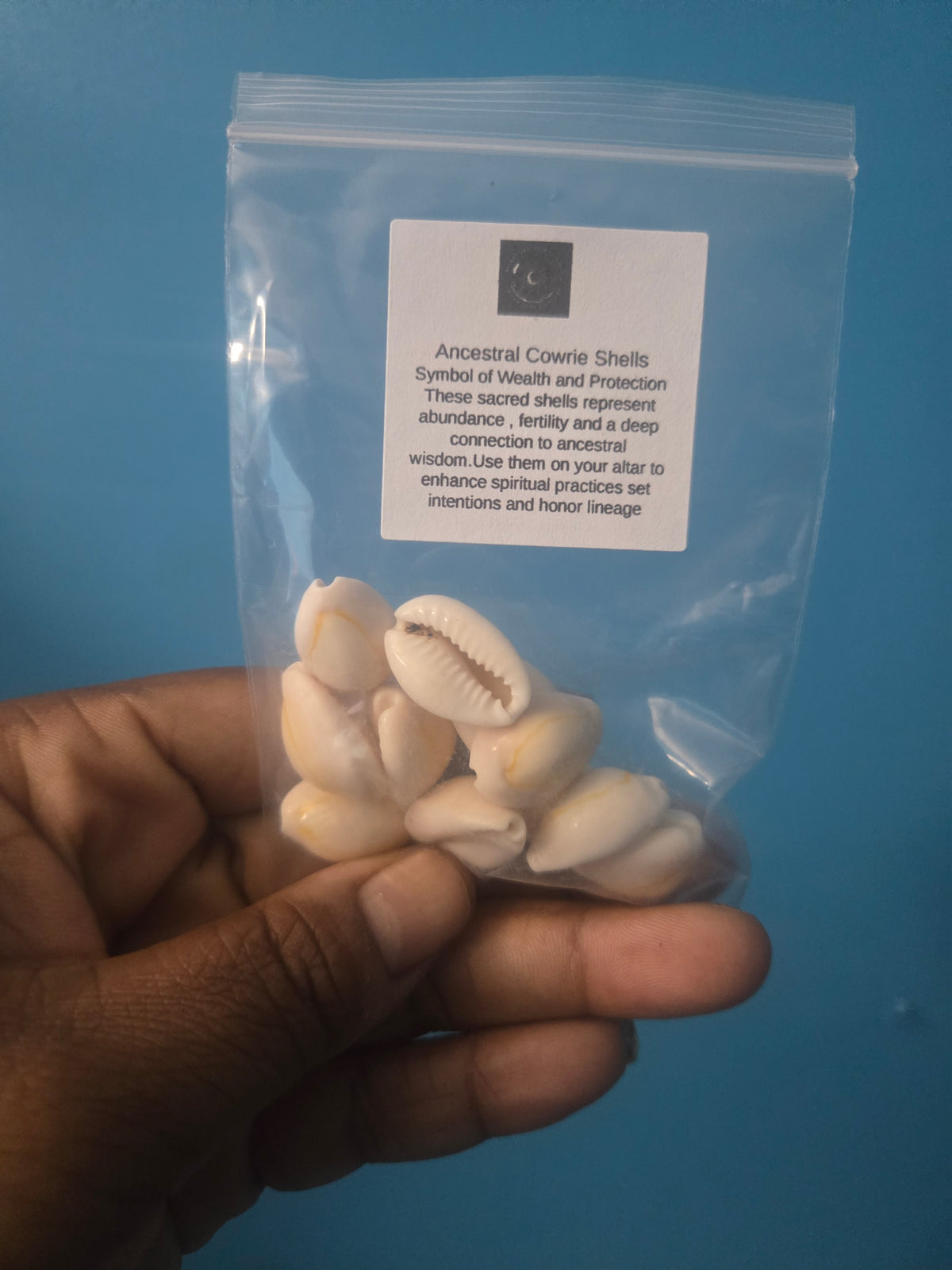 "Echoes of Ancestors: The Sacred Role of Cowrie Shells in Altar Work"