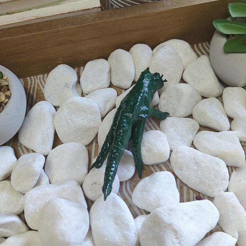 Money Charm Chicken Foot for establishing manifesting abundance