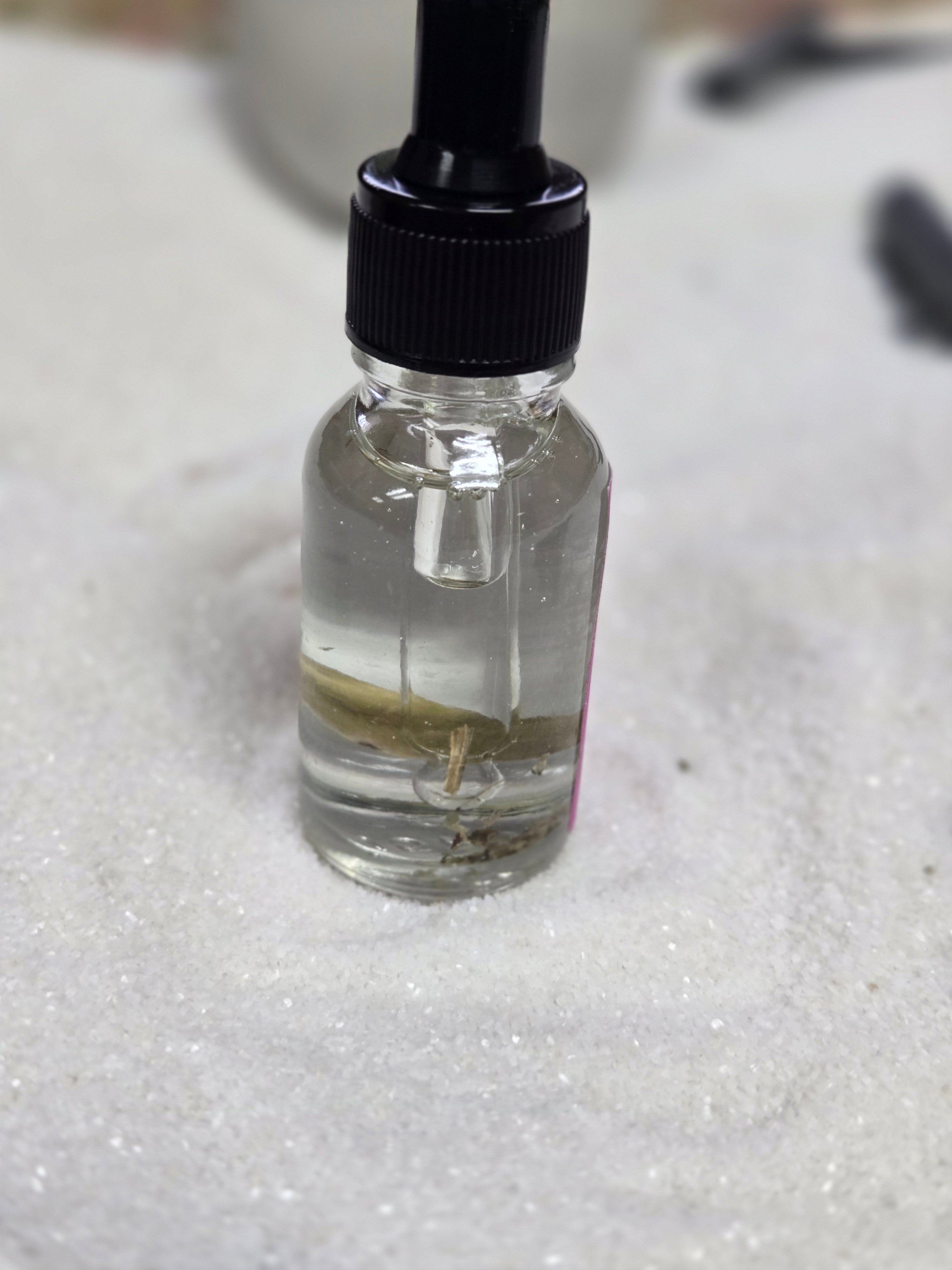 Find Your Perfect Partner with Our 1901 Angel Oil