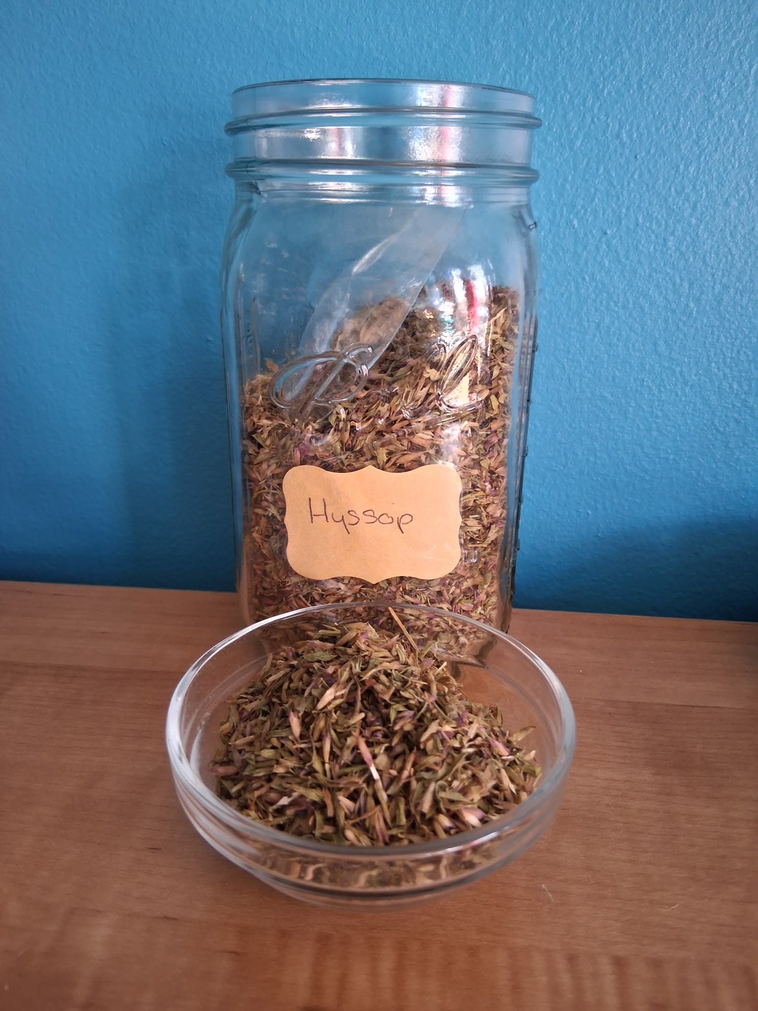 Hyssop