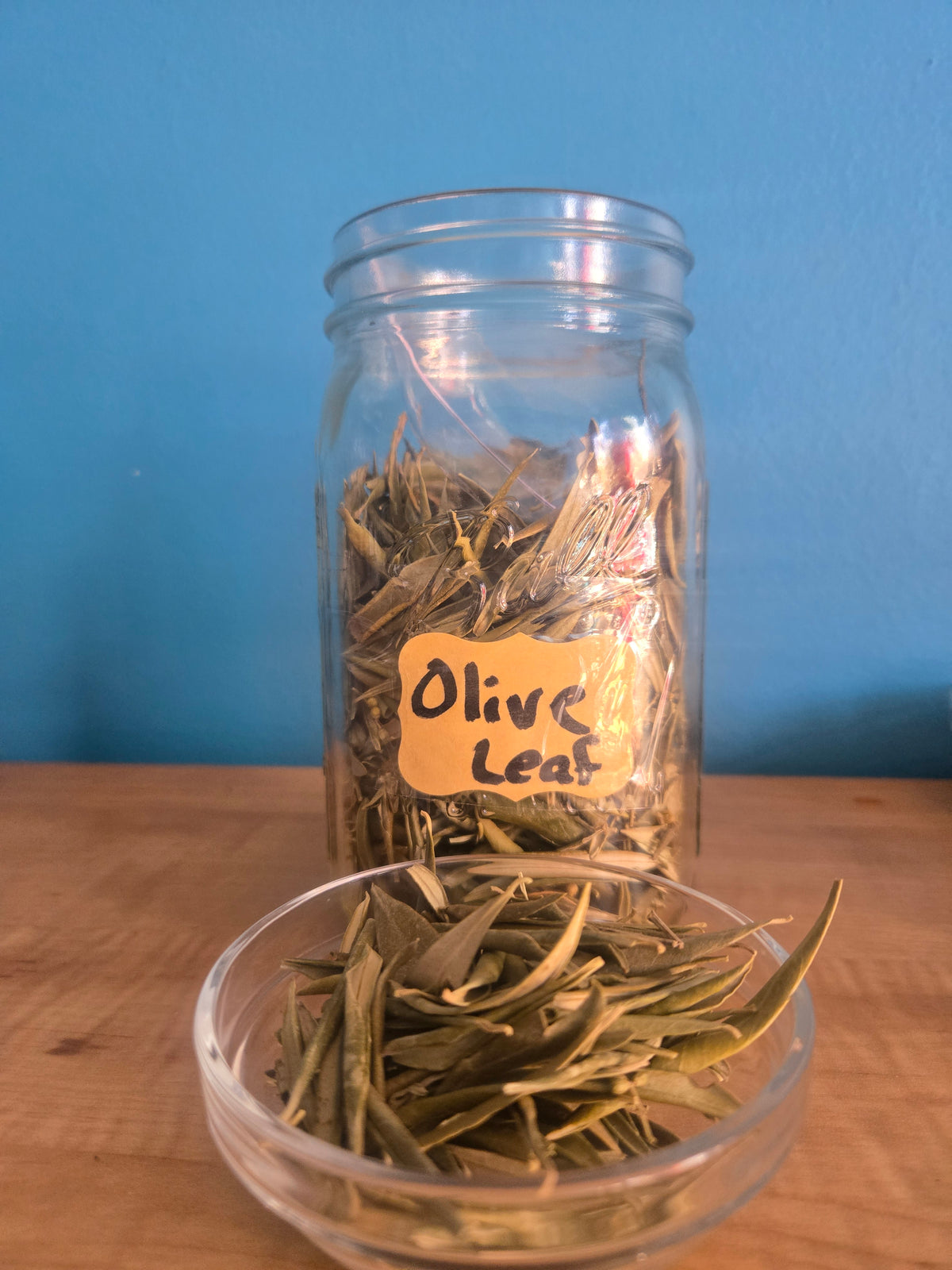 Olive  Herb Leaf