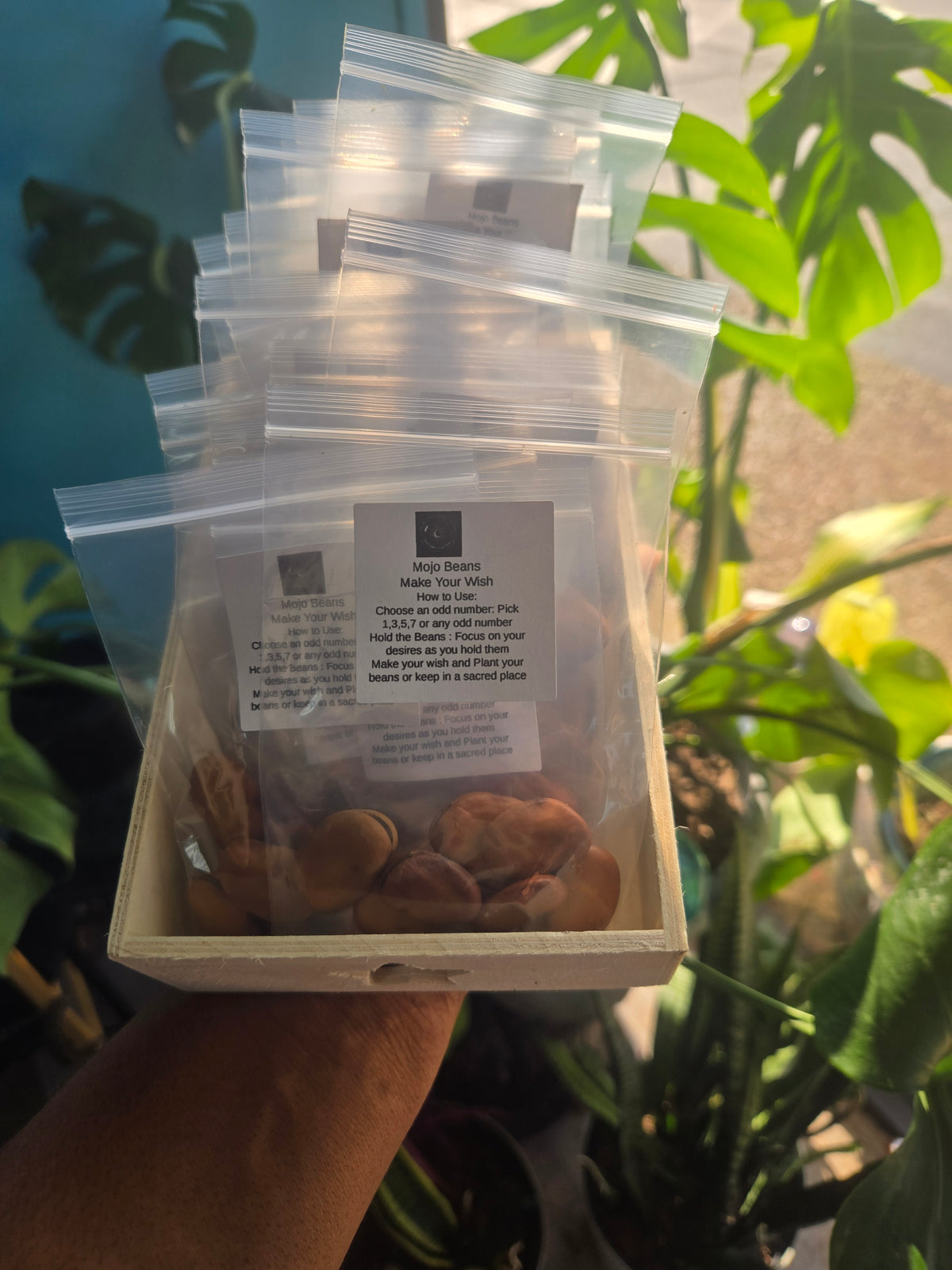 "Fortune's Whisper: Mojo Wish Beans for Abundance and Manifestation"