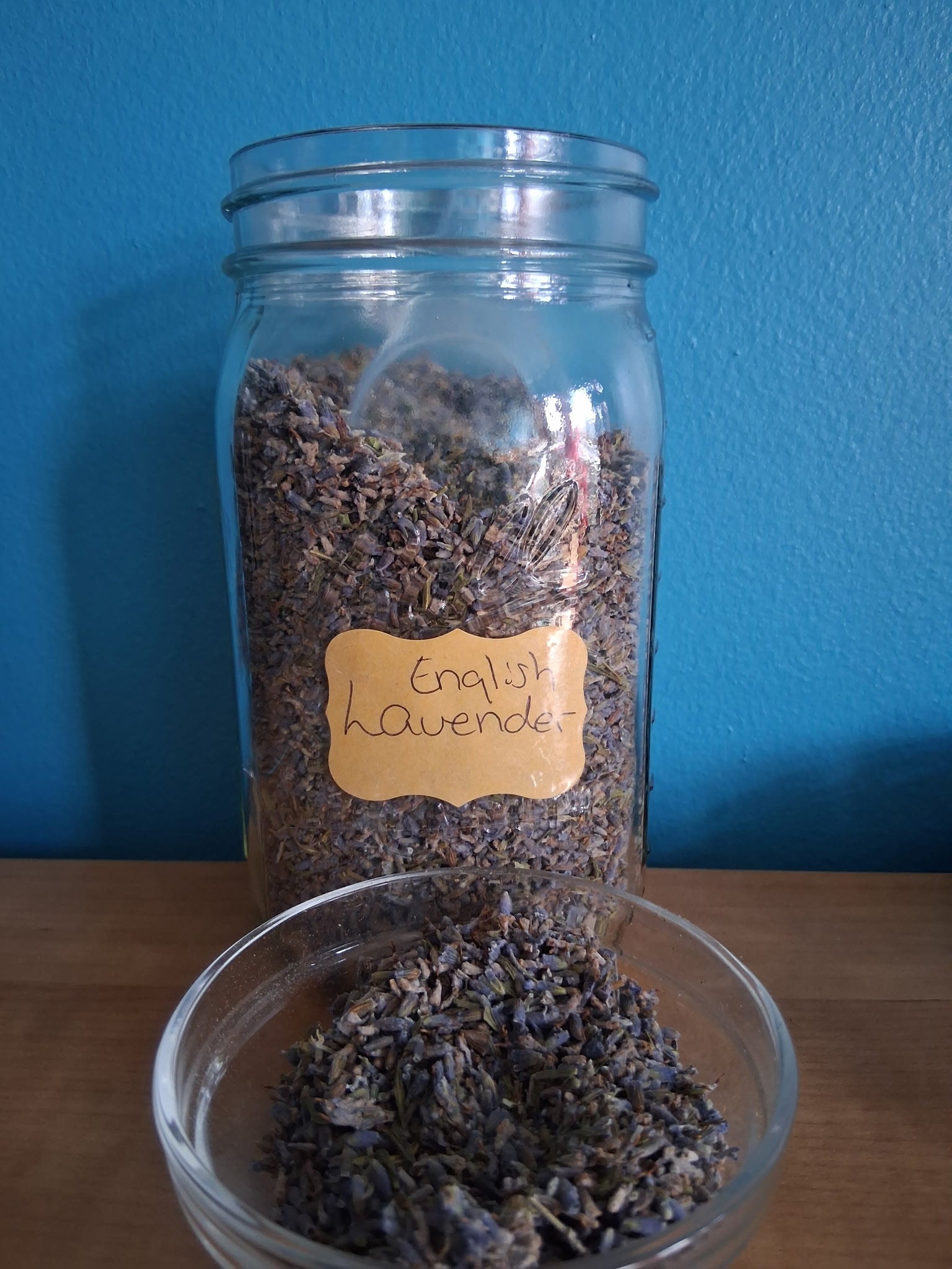 English Lavender