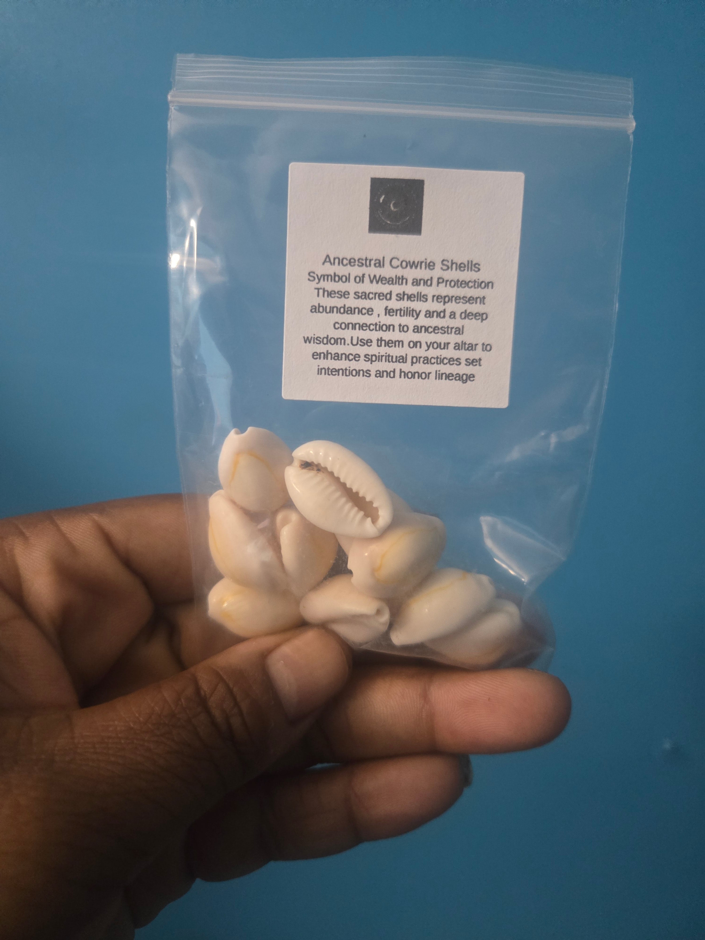 "Echoes of Ancestors: The Sacred Role of Cowrie Shells in Altar Work"