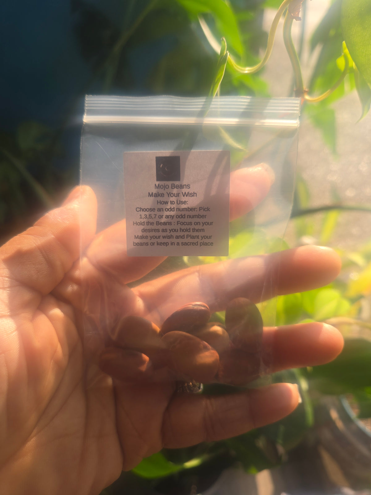 "Fortune's Whisper: Mojo Wish Beans for Abundance and Manifestation"
